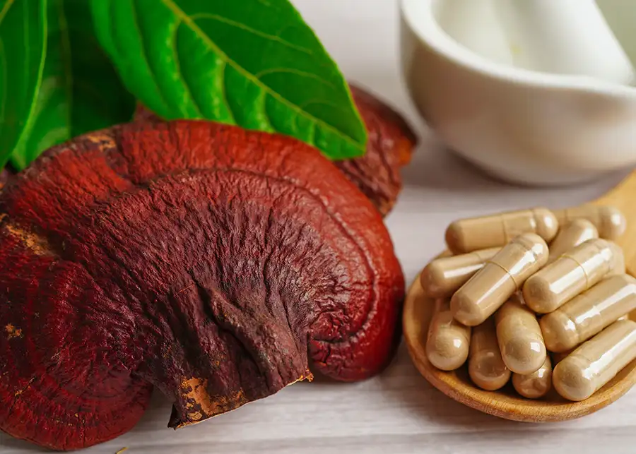 Happy Hut Decatur, IL - functional mushrooms